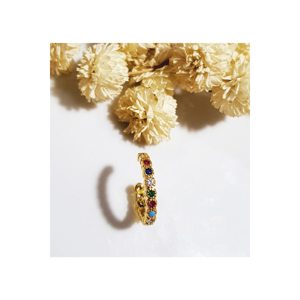 Renkli Kıkırdak Küpe